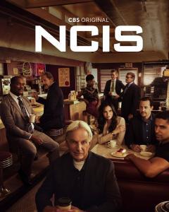 海军罪案调查处 第十九季